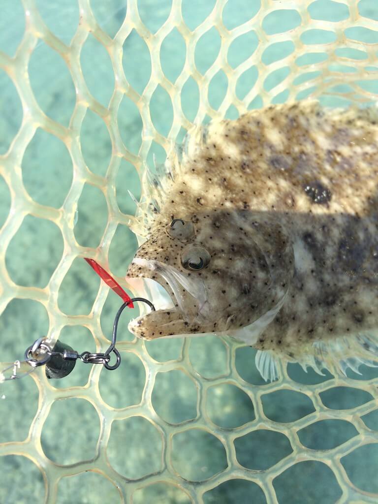 海中道路水路ウェーディング Wave Fishing Community 海中道路水路ウェーディング Wave Fishing Community
